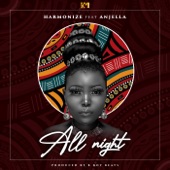 All Night (feat. Anjella) artwork