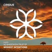 Modest Intentions - Meaningful life