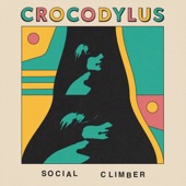 Crocodylus - Social Climber