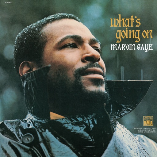 Art for What's Going On by Marvin Gaye
