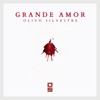 Grande Amor - Single