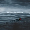 We Don't Live Forever - Single