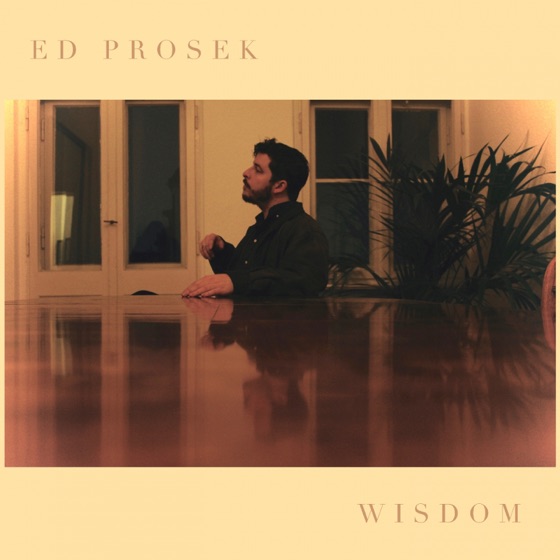 Cover artwork for Wisdom