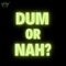 Dum Or Nah? - Sammie King lyrics