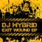 Protege (feat. Carasel) - DJ Hybrid lyrics