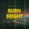 Burn Bright (Remix) - Single album lyrics, reviews, download