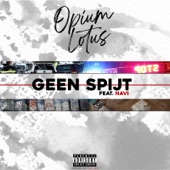 Geen Spijt (feat. Navi) artwork