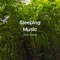 Feel the Forest - Sleeping Music lyrics