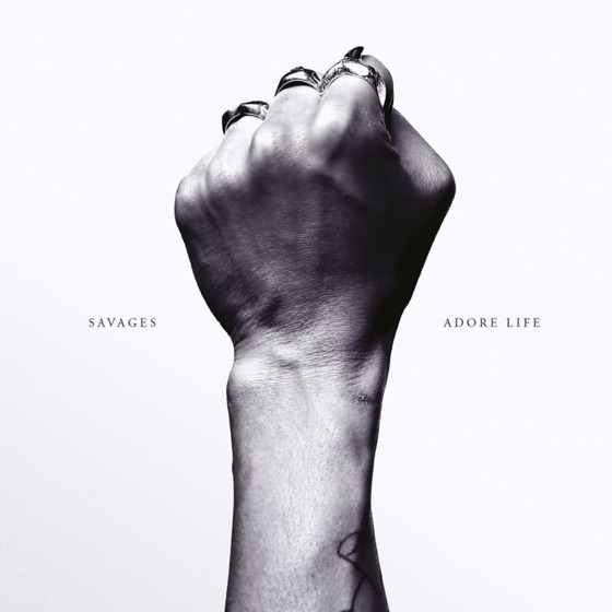 Cover artwork for Adore