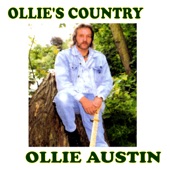 Ollie's Country artwork