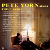 Pete Yorn Sings the Classics artwork