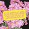 Restless (Kraak & Smaak Remix) - Miami Horror lyrics