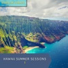 Hawaiian Summer - Coconut Boogie