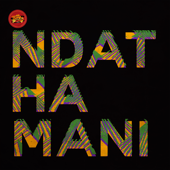 Ndathamani (feat. Gaone Rantlhoiwa) - P.M Project