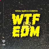 What the F@# Is EDM artwork