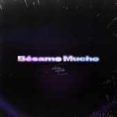 bésame mucho (Recorded at Electric Lady Studios NYC) artwork