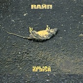 Крыса artwork