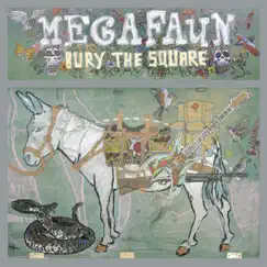 Bury the Square by Megafaun album reviews, ratings, credits