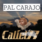 Pal Carajo artwork