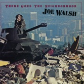 Joe Walsh - Made Your Mind Up