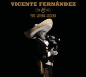 Vicente Fernández - Tu Camino Y El Mio (Remasterizado)