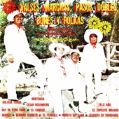 Valses, Marchas, Pasos Dobles, Sones y Polkas artwork