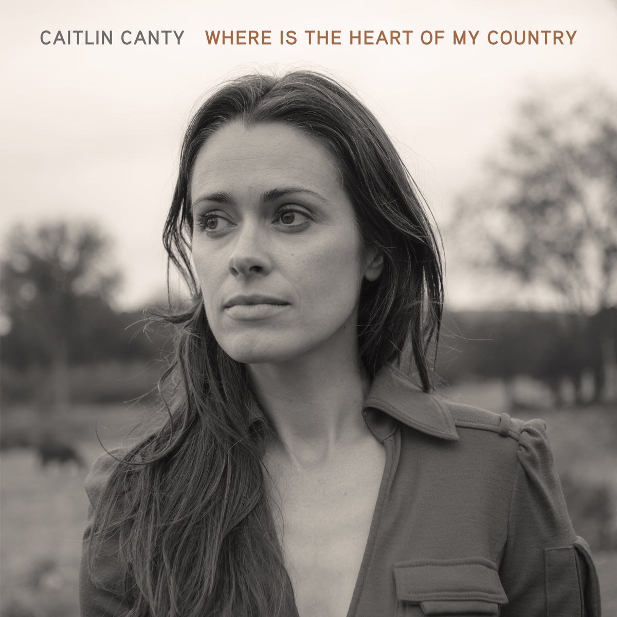 where-is-the-heart-of-my-country-single-by-caitlin-canty-on-apple-music