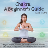 Karen J Smith - Chakra: A Beginner's Guide artwork