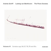 Beethoven: The Piano Sonatas, Vol. VI artwork