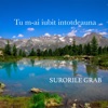 Tu m-ai iubit intotdeauna - Single