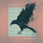 Plantrae - Dreamsick