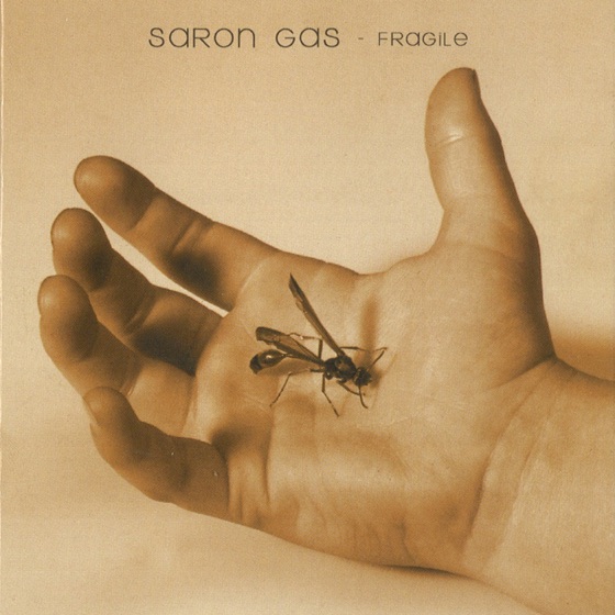 Cover artwork for Pig