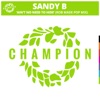 Sandy B - Ain't No Need to Hide (Rob Made Pop Mix)