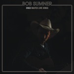 Bob Sumner - Ticket to Ride