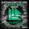 Beautiful World (feat. Ryder) - Blasterjaxx & DBSTF lyrics