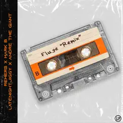 Fluye (Remix) [feat. Andre TG] - Single by Remers, Mark B. & LATENIGHTJIGGY album reviews, ratings, credits