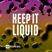 Keep It Liquid, Vol. 11 artwork