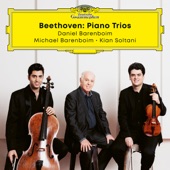 Beethoven Trios artwork