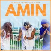 Amin (feat. Kameni & Stanley Enow) artwork