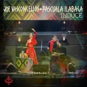 Induce (En Vivo) (feat. Pascuala Ilabaca) artwork