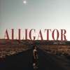 Alligator