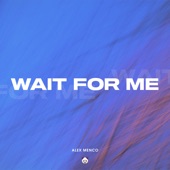 Wait for Me (Extended Mix) artwork