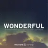 WONDERFUL - Worship from the 2013 Vineyard National Conference, Vol. 1 (Live) album lyrics, reviews, download