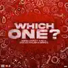 Which One (feat. Rv & Dezzie) - Single album lyrics, reviews, download