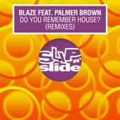 Do You Remember House? (feat. Palmer Brown) [Remixes] - EP artwork