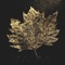 Night - Fall lyrics