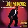 The Best of Junior: Mama Used to Say (Rerecorded Version) album lyrics, reviews, download