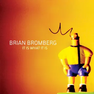 Slap Happy by Brian Bromberg song reviws