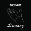Liwanag - Single