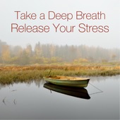 Take a Deep Breath - Release Your Stress artwork